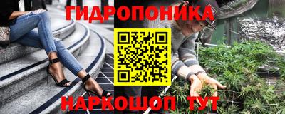 твердый Будённовск