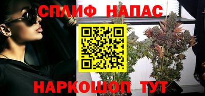 твердый Будённовск