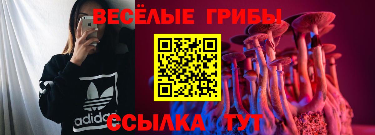 Щёкино  Псилоцибиновые грибы Psilocybe  Вход с VPN 